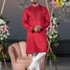 Mens Premium Embroidery Panjabi-19474P