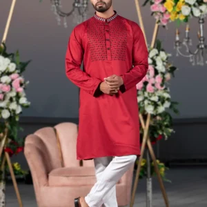 Mens Premium Embroidery Panjabi-19474P